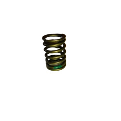 OUTER VALVE SPING - RESORTE...