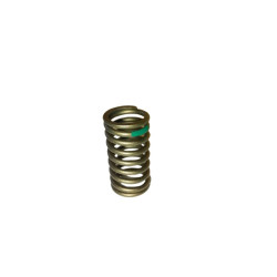 INNER VALVE SPING - RESORTE...