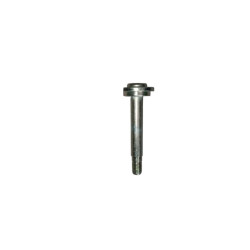 FRONT LEAF SPRING REAR LOWER PIN SHAFT - EJE DEL PASADOR INFERIOR TRASERO DE LA BALLESTA DELANTERA 29011101038D001A