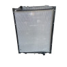 RADIATOR ASSY-RADIADOR ARMADO-130100740