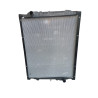 RADIATOR ASSY-RADIADOR ARMADO-130100740