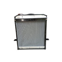 RADIATOR- RADIADOR 13010101086D081A