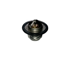 THERMOSTAT - TERMOSTATO X10007540