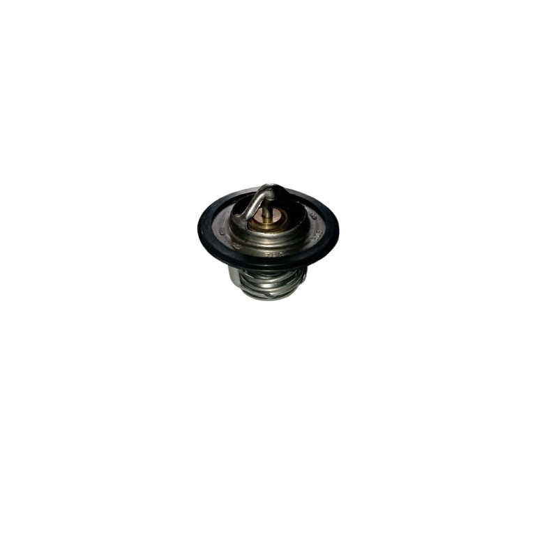 THERMOSTAT - TERMOSTATO X10007540