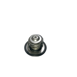 THERMOSTAT - TERMOSTATO X10007540