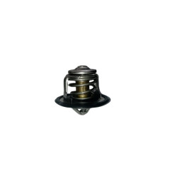 THERMOSTAT - TERMOSTATO X10007540