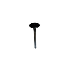 EXHAUST VALVE - VALVULA DE...